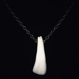Buffalo tooth necklace